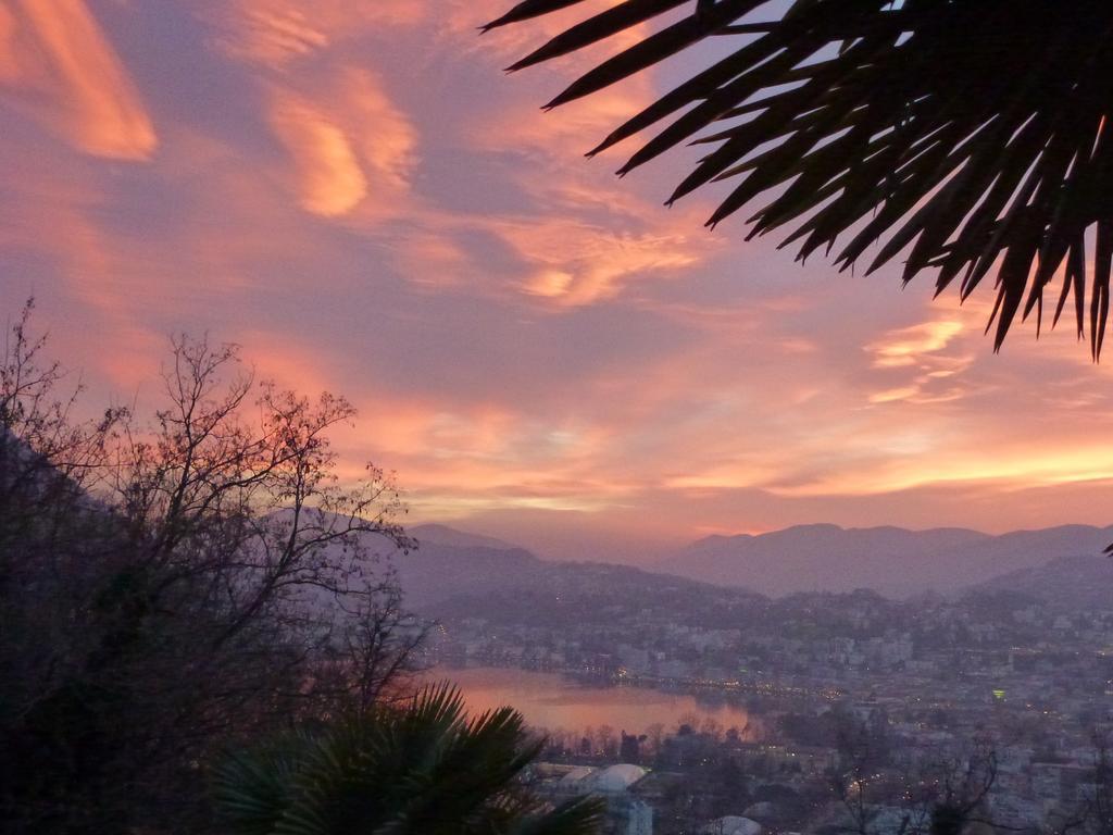 Appartement Sonniges Paradies Mit Seeblick Und Panoramaterrasse